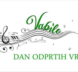 Vabilo Dan odprtih vrat VDC Črnomelj