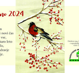 Novoletno voščilo 2024